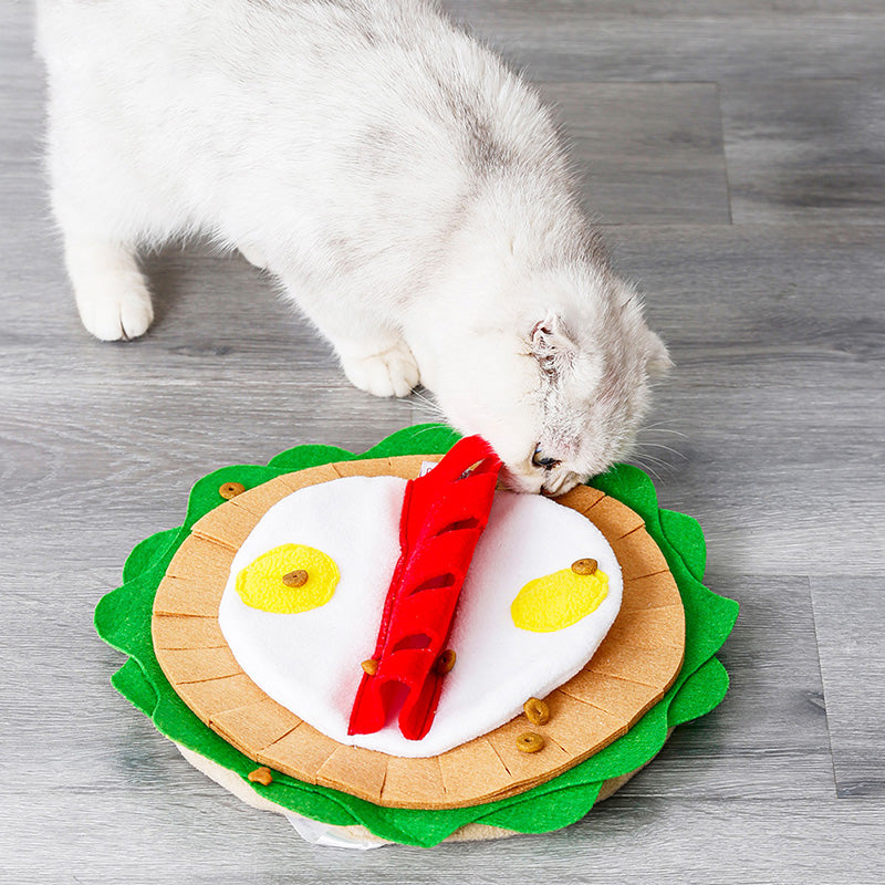 Pettsure Sniff & Seek slow-feeding snuffle mat for dogs